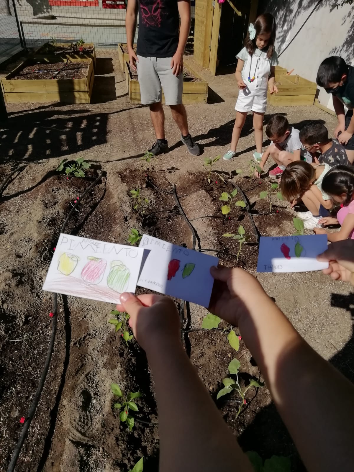 Talleres de plantas y salud