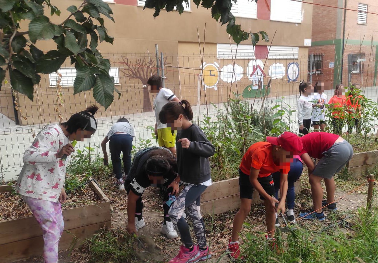 Talleres de huerto escolar